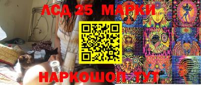 PSILOCYBIN Кимры