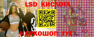 ешки Кингисепп