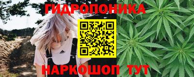 соль ск Кинель