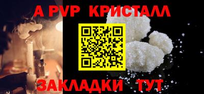 ешки Кингисепп